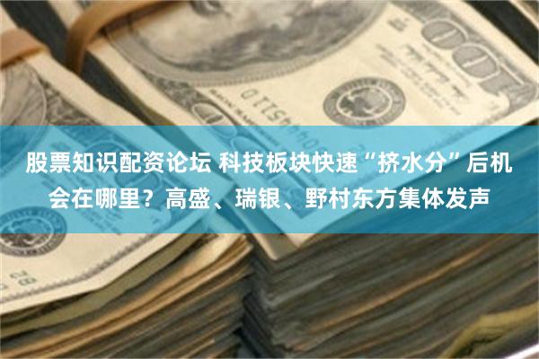 股票知识配资论坛 科技板块快速“挤水分”后机会在哪里？高盛、瑞银、野村东方集体发声